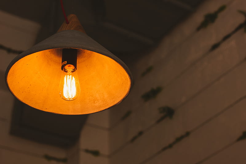 light bulb, lamp, lamp shade, electricity, light, incandescent lamp, HD wallpaper