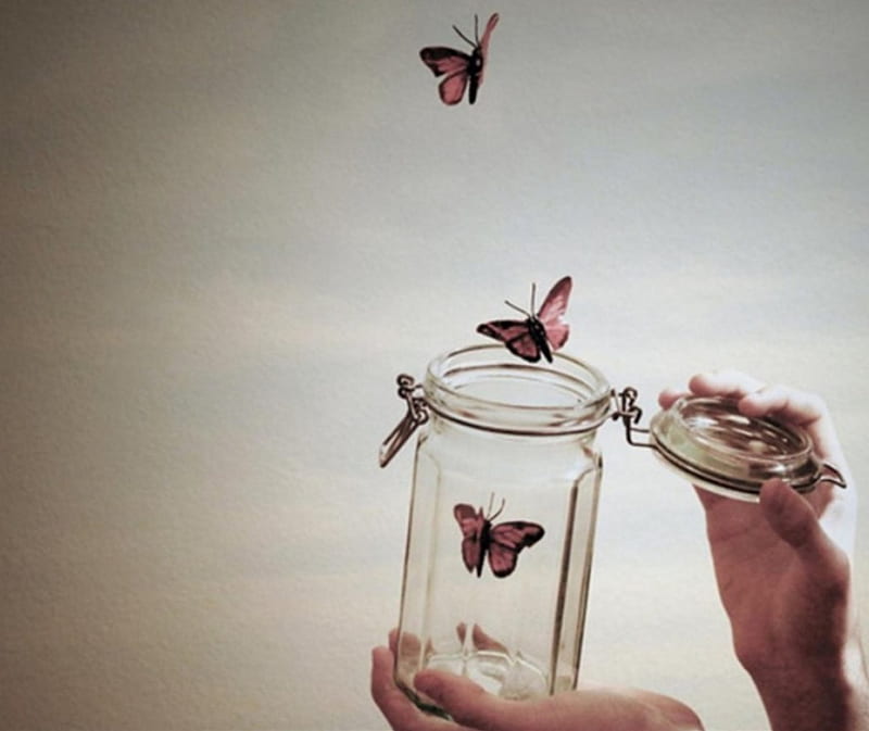 Release, wings, flying, jar, hand, butterflies, pink, HD wallpaper