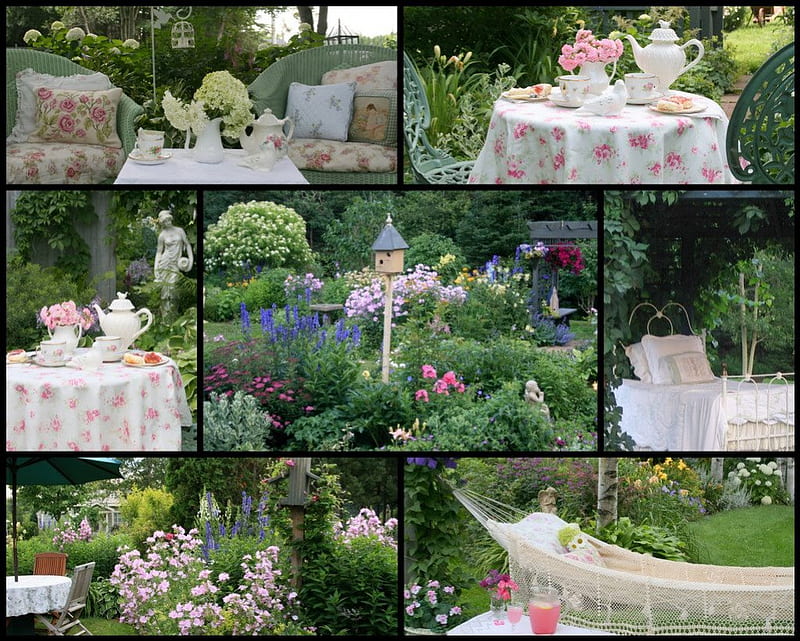 Tea Garden, ceai, pace interioara, liniste, nature, HD wallpaper