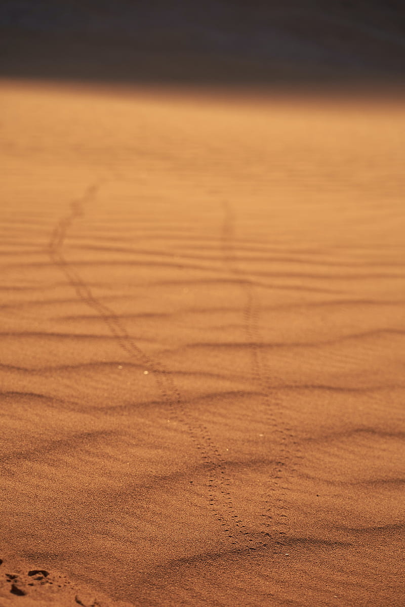 sand, traces, desert, blur, HD phone wallpaper