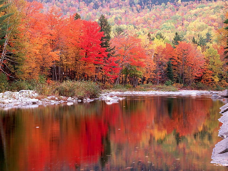 Autumn Water, red, fall, lakes, autumn, adirondacks, colors, bonito, nice, water, nature, season, reflections, landscape, rivers, HD wallpaper