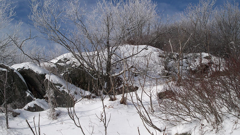 Winter Hike, mountain, nh, stoddard, pitcher, new hampshire, HD wallpaper