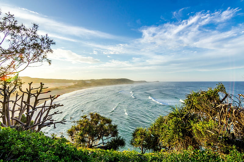 landscape graph of trees near sea, HD wallpaper