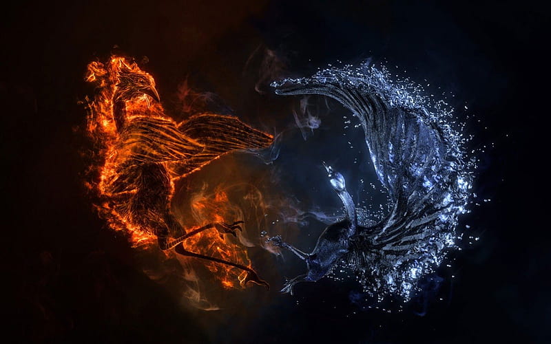 Bird of Fire & Water, fight, fire, water, cg, HD wallpaper