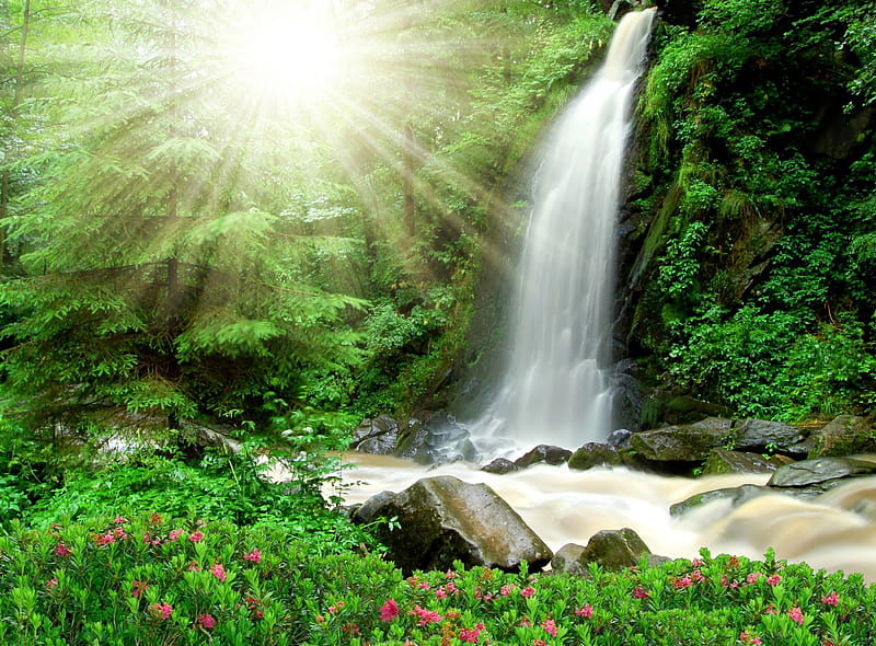 Forest waterfall, forest, glow, sunlight, bonito, magic, creek, fantasy, green, rays, waterfall, nature, sunshine, morning, HD wallpaper