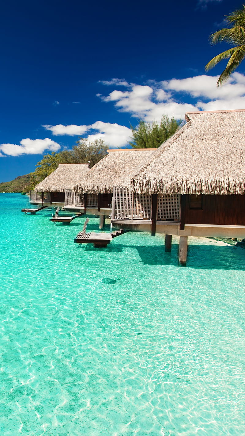 Maldives, beach, beauty, blue, clouds, house, ocean, palm, sea, slum, sun, water, HD phone wallpaper