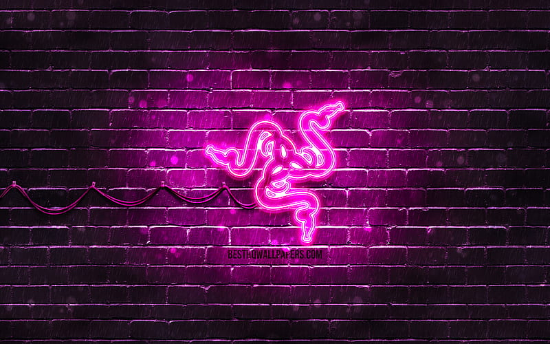 Razer purple logo purple brickwall, Razer logo, brands, Razer neon logo, Razer, HD wallpaper
