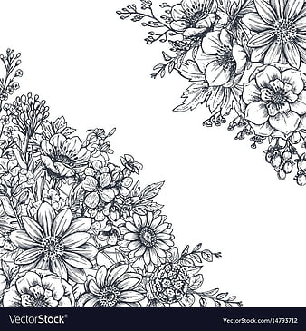 Wedding Floral Sketch Background 1335155 Vector Art at Vecteezy