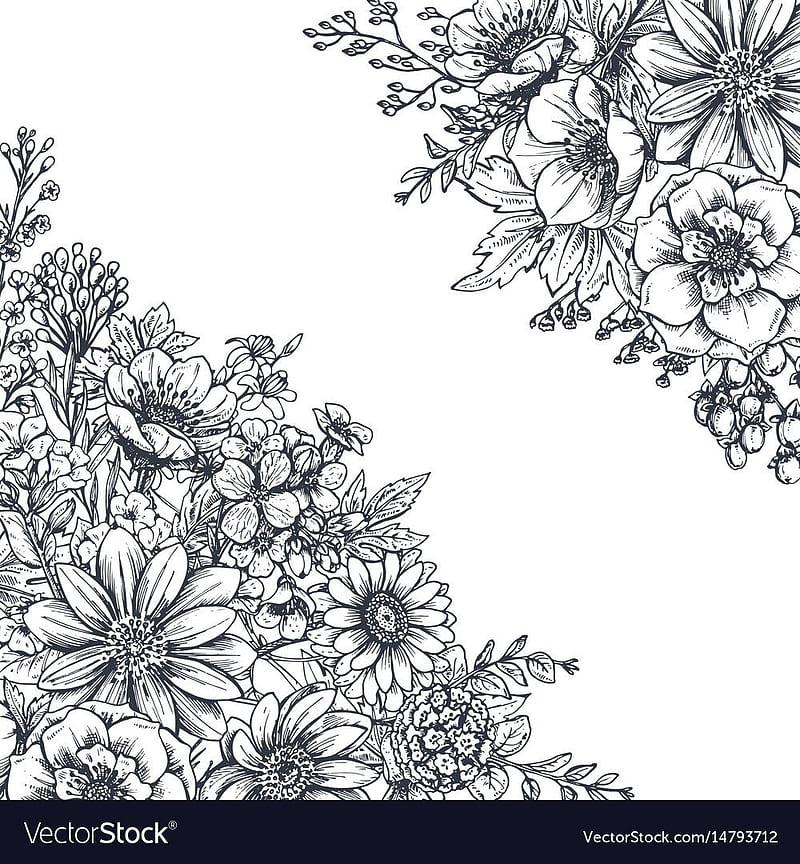 Floral background with hand drawn flowers and plants. Monochrome vector illustration in sketch style. D. Flower drawing, Hand drawn flowers, Flower line drawings, HD phone wallpaper