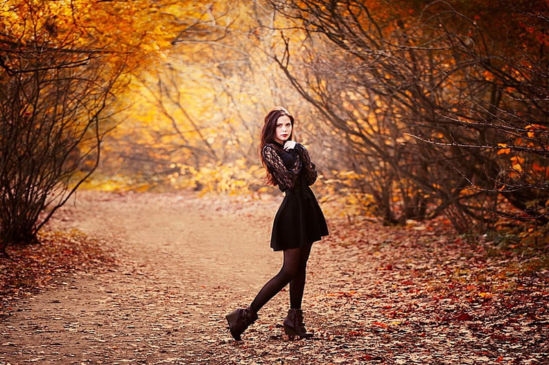 beauty, autumn, model, lady, HD wallpaper