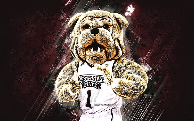 Bully, Mississippi State University mascot, burgundy stone background, Bully mascot, Mississippi State University, English Bulldog, HD wallpaper