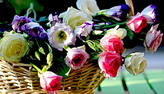 Page 7 Hd Roses In A Basket Wallpapers Peakpx