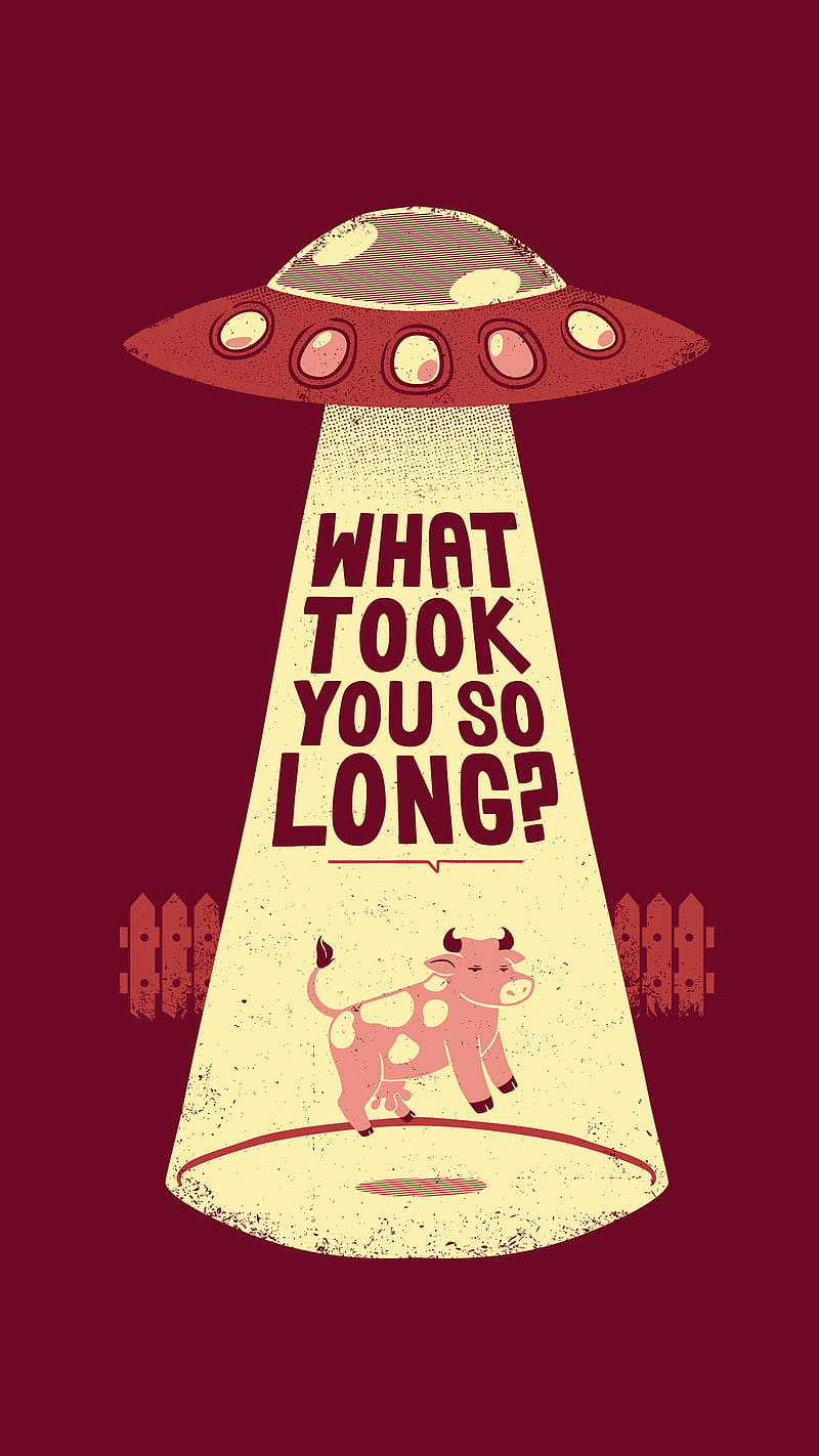 Why Did You Took, Abducted, Alien, Animals, Cow, Cute, Humor, Space,  Spaceship, HD phone wallpaper | Peakpx