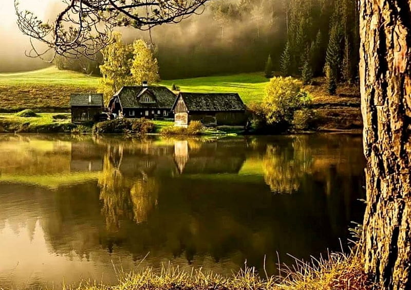 Living by the Lake, Lake, Tree, House, Nature, HD wallpaper