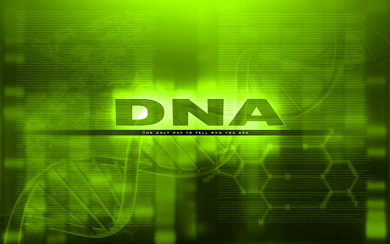 DNA: the only way to know who you are, dna, green, abstract, science, HD wallpaper