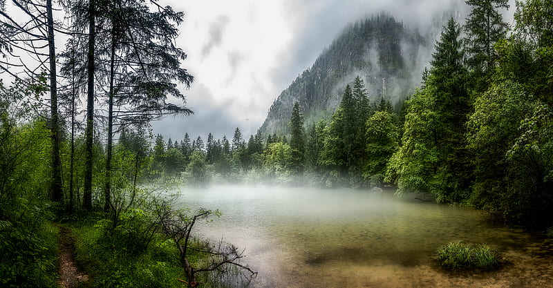 lake, forest, fog, morning, landscape, HD wallpaper