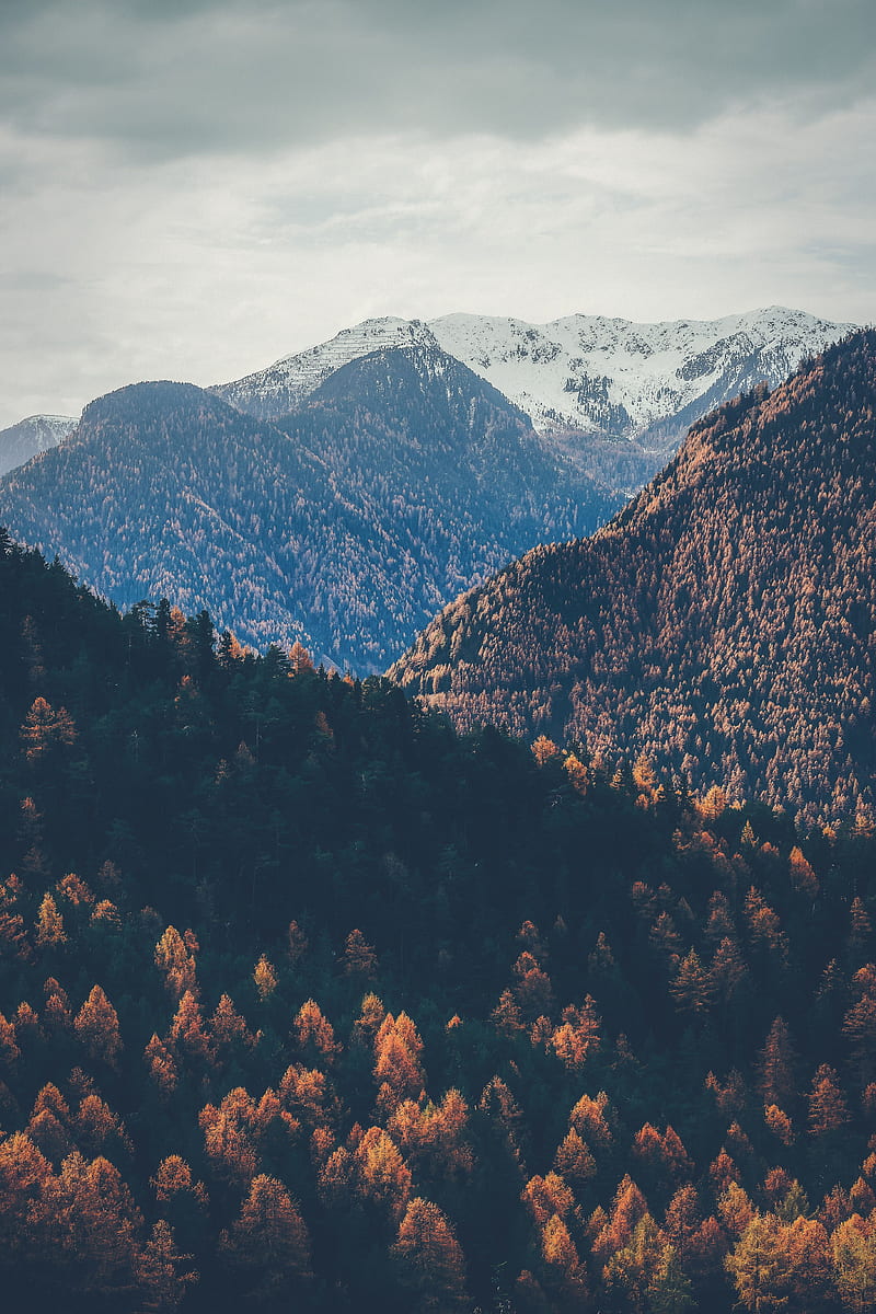 mountains, peaks, autumn, snowy, trees, sky, HD phone wallpaper