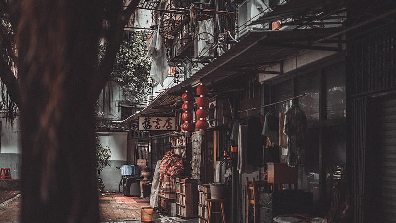 red paper lanterns on street during daytime, HD wallpaper