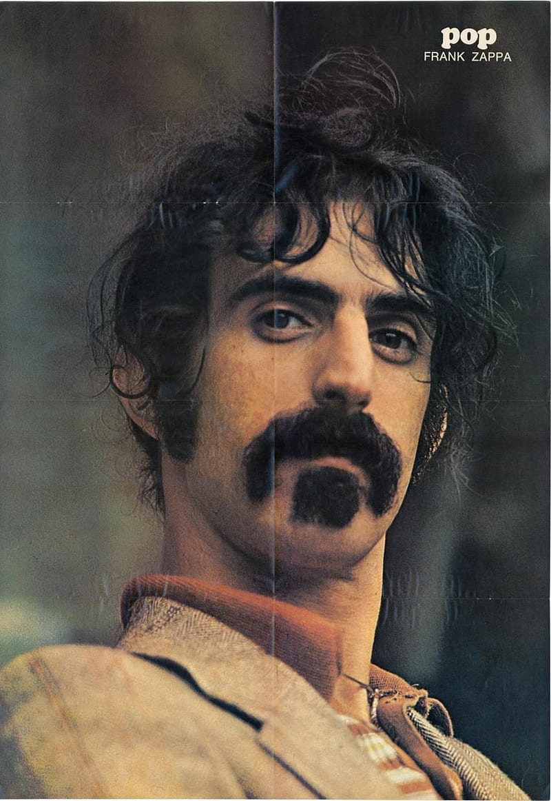 Frank Zappa, artist, rock, HD phone wallpaper