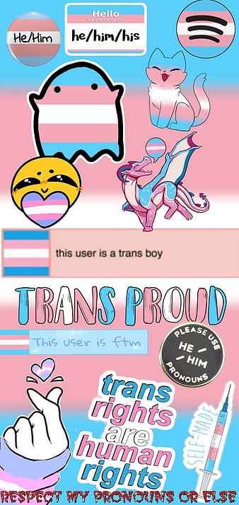 Transgender Pride, Trans, FtM, MtF, HD phone wallpaper