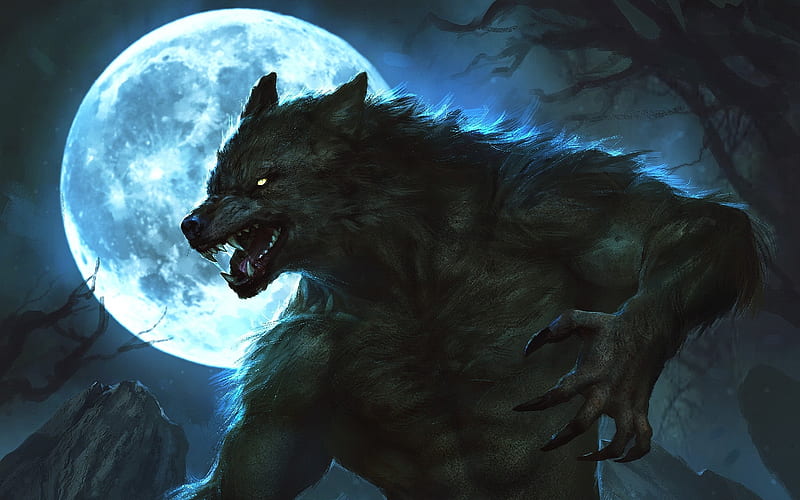 Dark Werewolf in Forest Live Wallpaper  free download