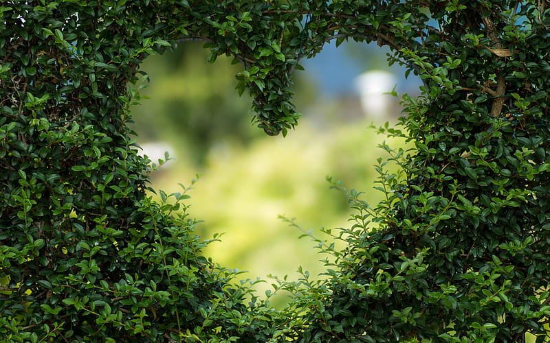 Love nature, green grass heart, nature heart frame, eco concepts, environment, love the planet, eco frame, natural green frame, grass frame heart, HD wallpaper
