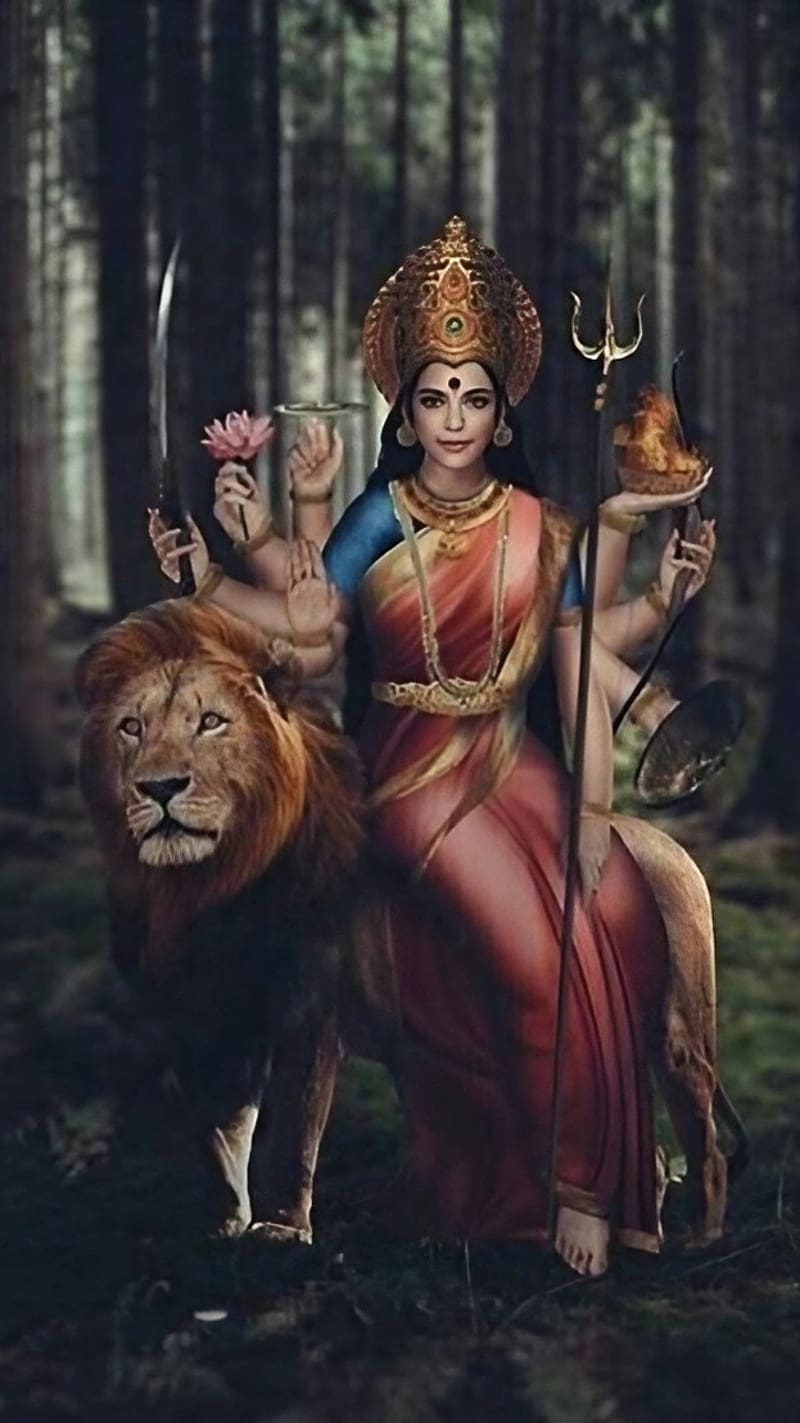 Durga Mata Ka, Devi Maa Sitting On Lion, goddess, bhakti, devi maa, HD phone wallpaper