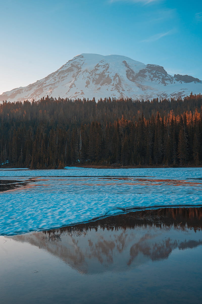 mountain, peak, forest, lake, ice, HD phone wallpaper