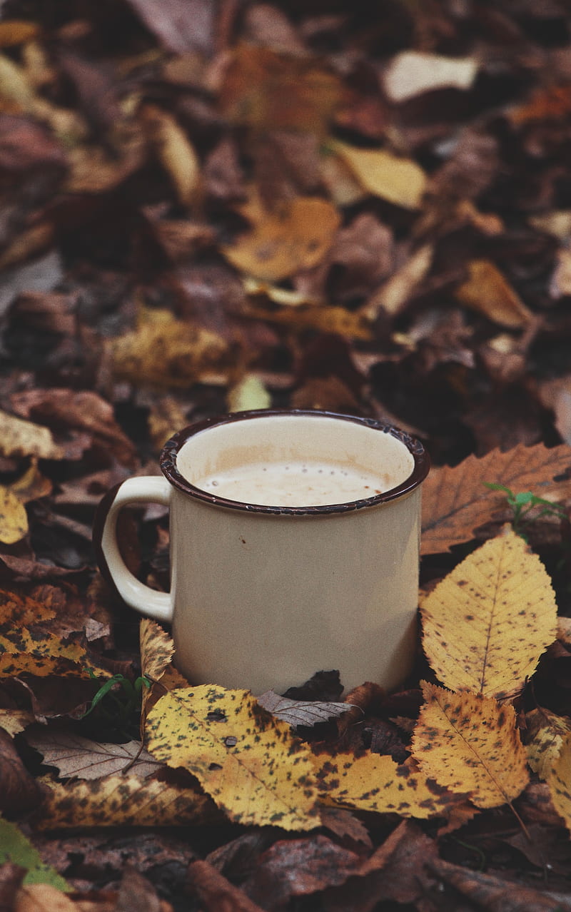 mug, coffee, leaves, drink, HD phone wallpaper