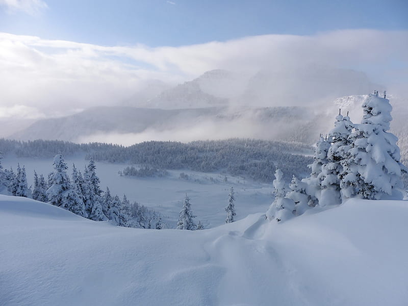 Earth, Winter, Alberta, Banff National Park, Canada, Fir Tree, Mountain, Rocky Mountains, Snow, HD wallpaper
