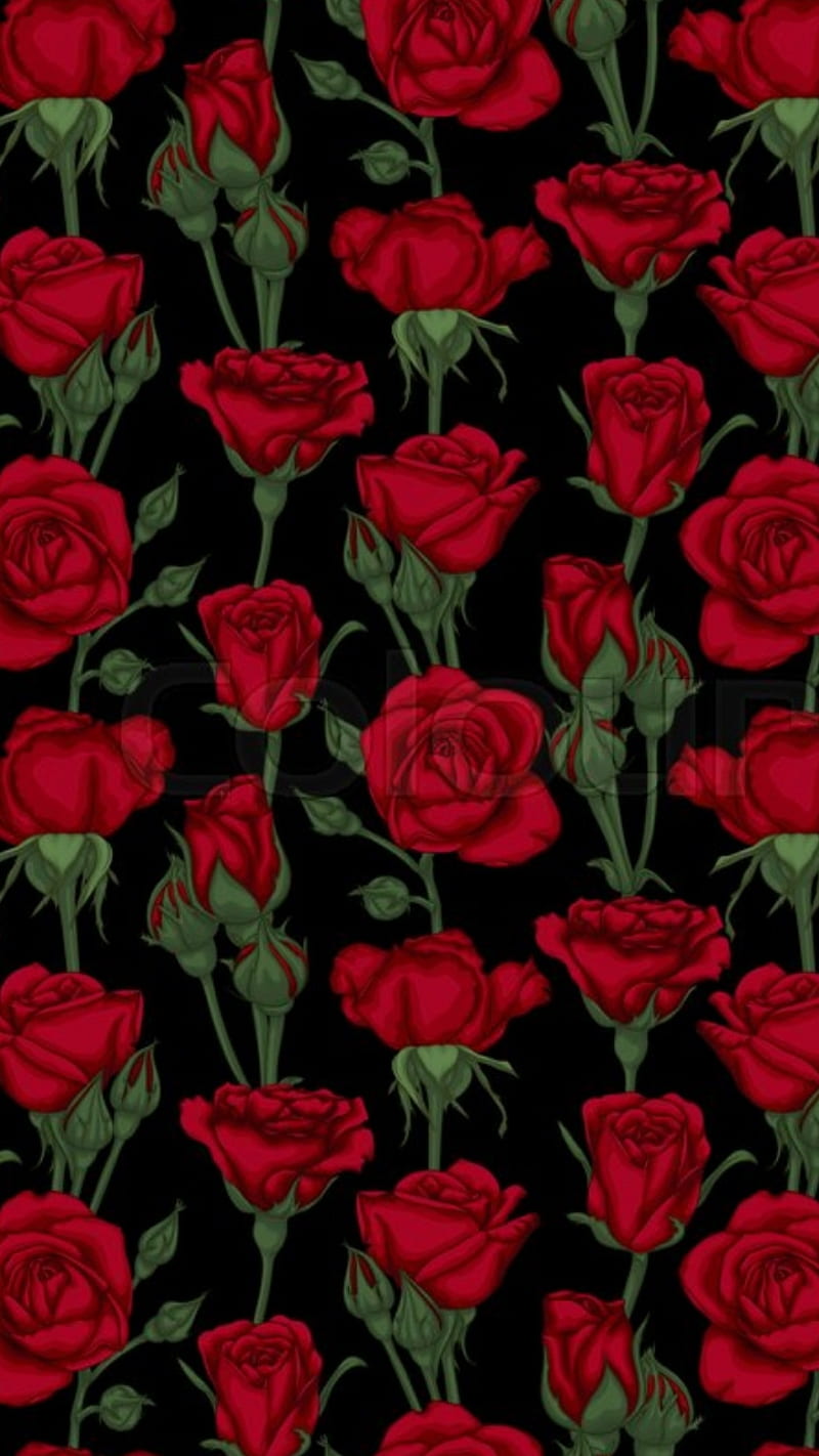 Smell the Roses, background, bonito, beauty, black, flowers, pattern, patterns, red, simple, HD phone wallpaper