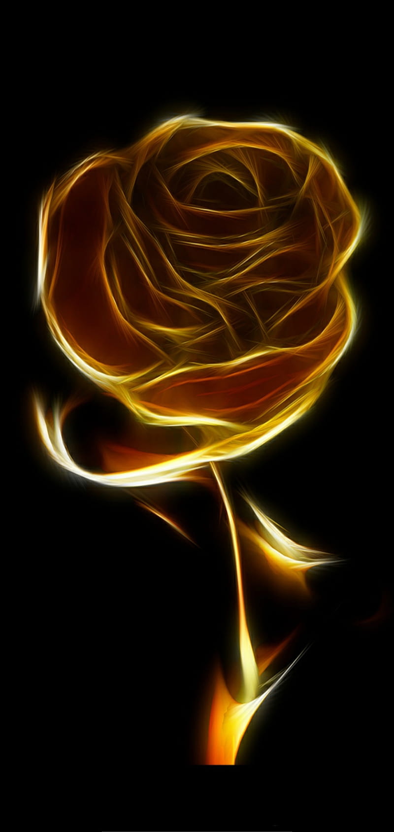 Gold rose, cool rose, rose, HD phone wallpaper