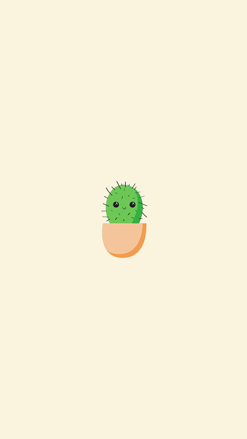 Adorable Cactus adorable baby cactus aesthetic nature artsy iphone  beautiful plants HD phone wallpaper  Peakpx