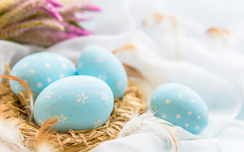 Easter eggs, nest, blue colored eggs, Easter, spring holidays, Easter background, HD wallpaper