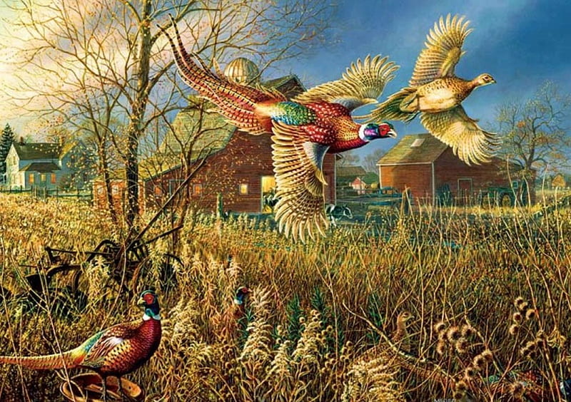 Gathering by the Barn, house, flying, painting, pheasants, artwork, field, landscape, HD wallpaper