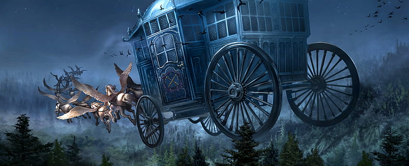 Harry Potter, Harry Potter and the Goblet of Fire, Carriage , Pegasus, HD wallpaper