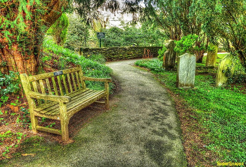 Graveyard seat., fence, tree, seat, cemetery, headstone, path, graveyard, sign, HD wallpaper