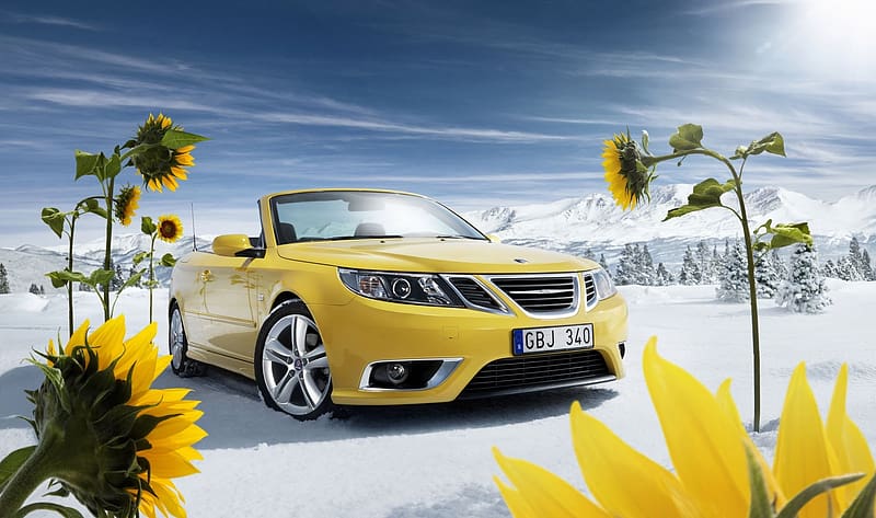 Winter, Snow, Flower, Car, Sunflower, Convertible, Saab, Vehicles, Yellow Car, HD wallpaper
