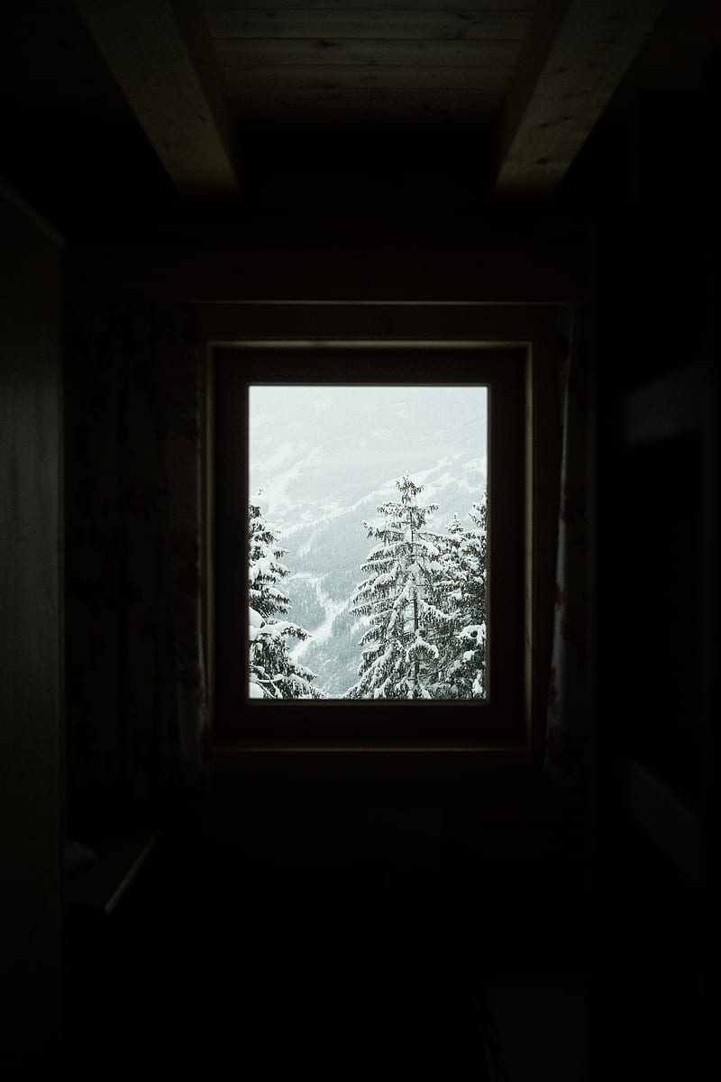window, trees, winter, snowy, HD phone wallpaper