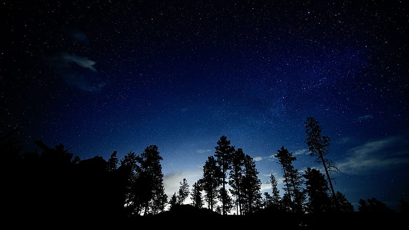 Trees Forest Silhouettes Background Under Blue Starry Sky Nature, HD wallpaper