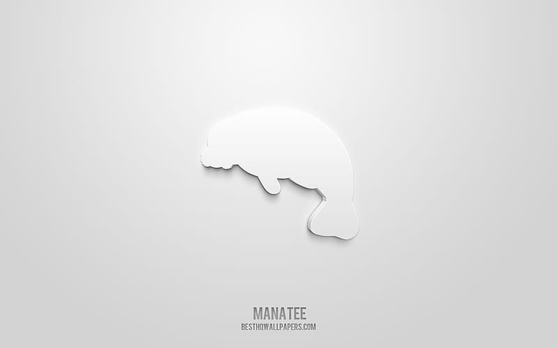 Manatee 3d icon, white background, 3d symbols, Manatee, Animals icons, 3d icons, Manatee sign, Animals 3d icons, HD wallpaper