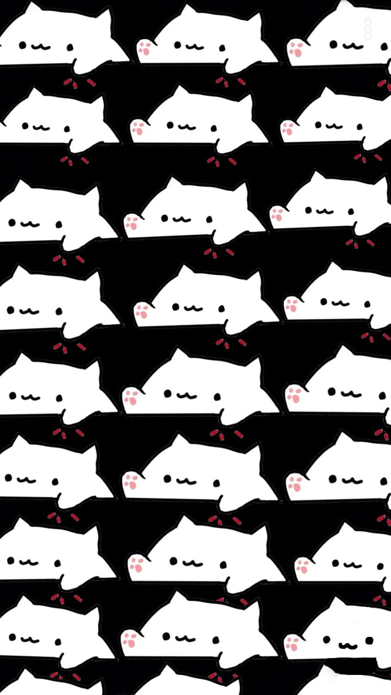 Bongo Cat , bongo cat, bongo, cat, HD phone wallpaper