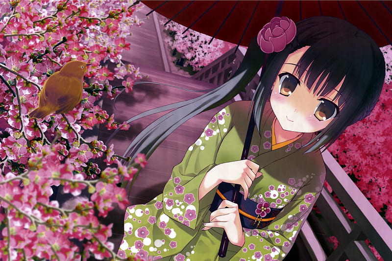 Kimono Chan, pretty cg, sakura blossom, adorable, cherry blossom, sweet, blossom, nice, japan, anime, yukata, umbrealla, anime girl, long hair, black hair, sakura, female, lovely, japanese, kimono, flora, cute, kawaii, girl, bird, flower, petals, cherry, HD wallpaper