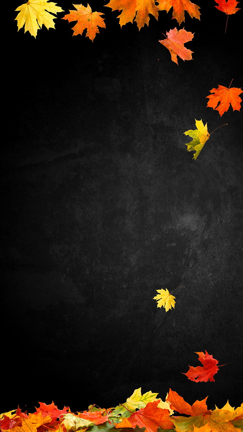 Autumn, bonito, fall, falling, green, leaves, maple leaves, red, romantic, yellow, HD phone wallpaper