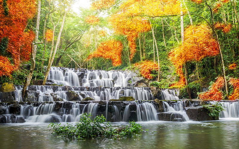 cascade waterfall, river, autumn landscape, forest, autumn, yellow trees, waterfall, HD wallpaper