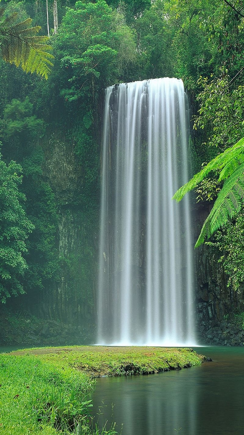 Nature For Waterfall In The Greenery, nature for, waterfall, greenery ...