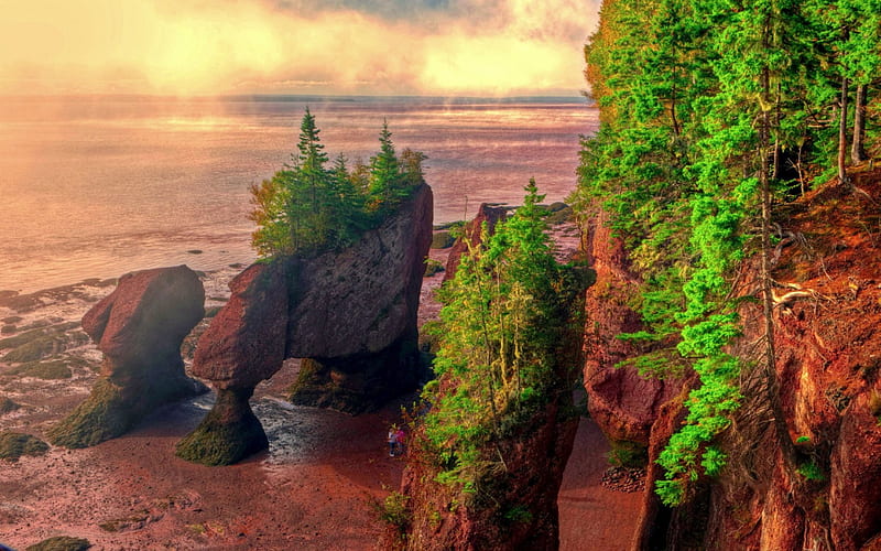 HOPEWELL ROCKS,Bay of Fundy,Brunswick, Hopewell, Fog Lifting, Flowerpots, Sandstone, Hopewell Rocks, New Brunswick, Bay of Fundy, HD wallpaper