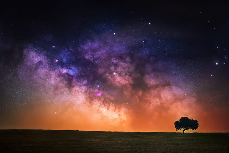 Starry Sky In Open Field, HD wallpaper