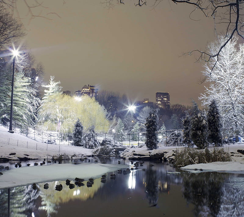 WINTER, city, cold, light, river, snow, tree, HD wallpaper