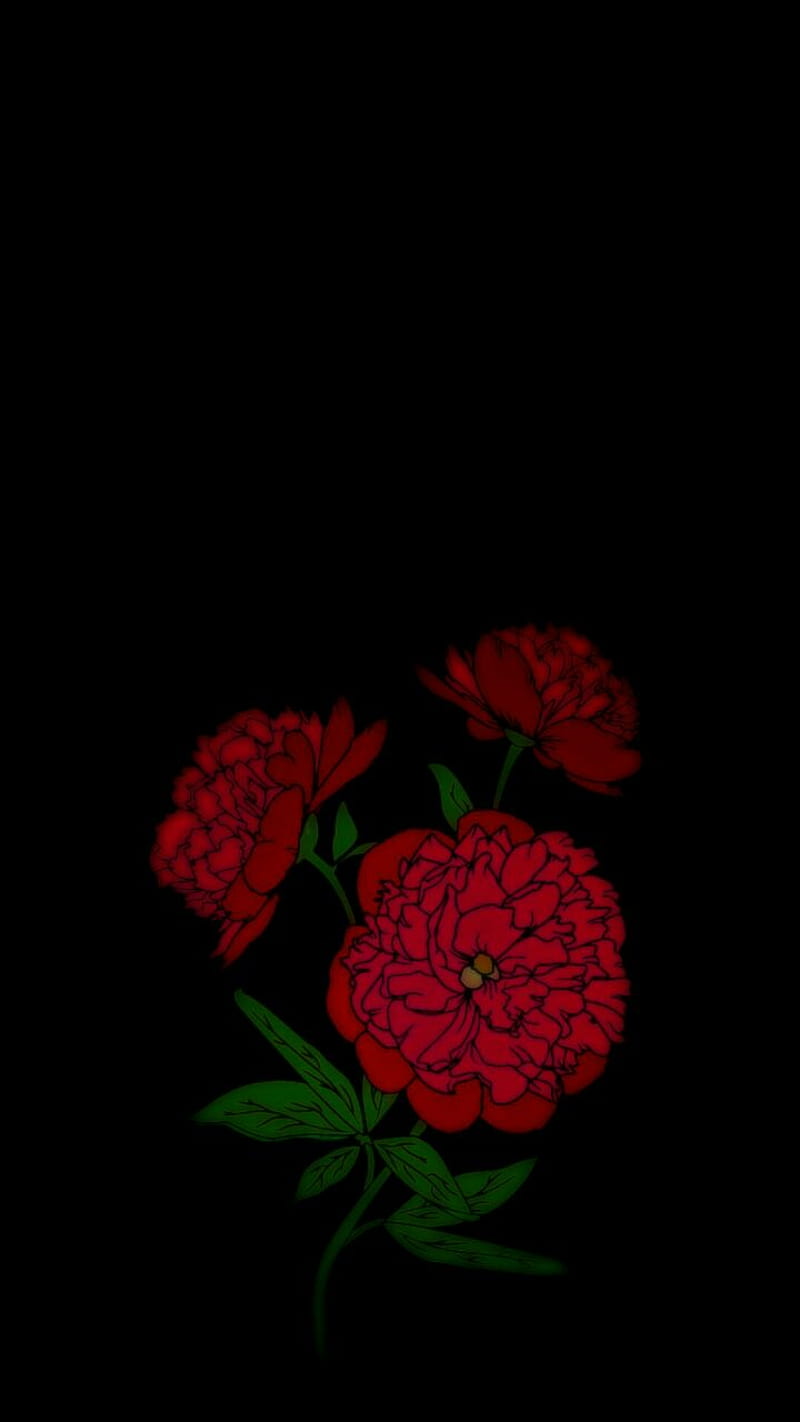 Flores en la oscuridad, negro, oscuro, flores, amor, rojo, Fondo de pantalla de teléfono HD | Peakpx Flores en la oscuridad, negro, oscuro, flores, amor, rojo, Fondo de pantalla de teléfono HD | Peakpx